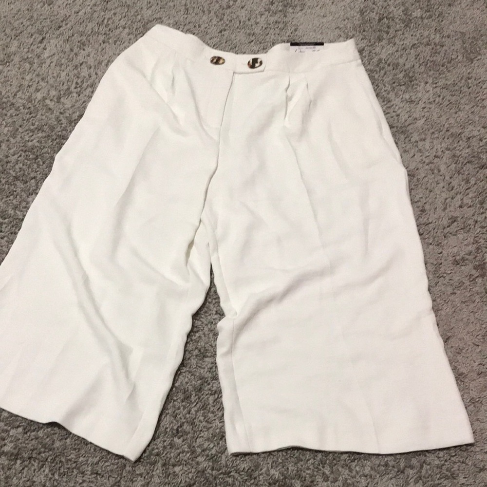 Elegant Culottes polyester machine wash turquoise buttons, pleats, side pockets